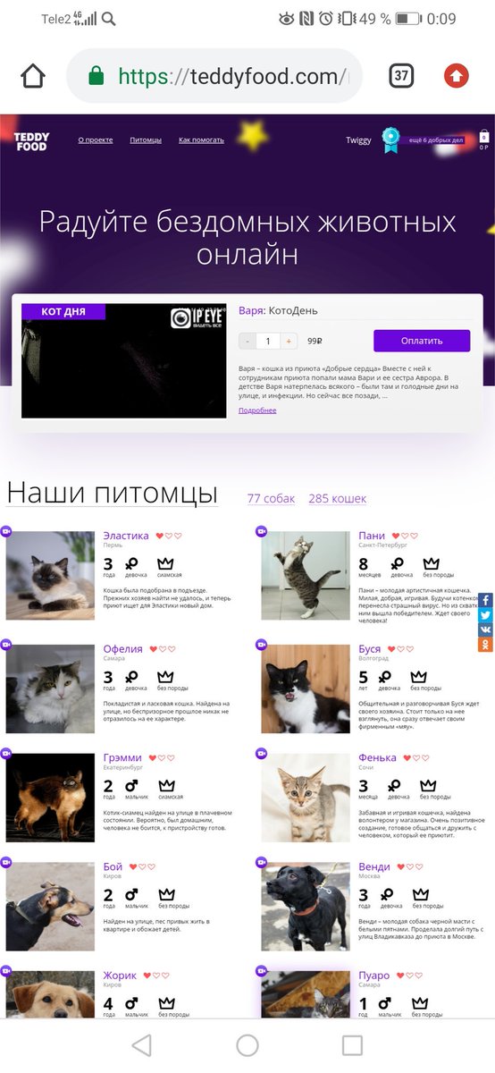 PoruchikRomanov's tweet image. teddyfood.com/ru/animals/
vk.com/club91453291

Эти сайты рвут моё сердечко((

У меня сейчас напряженная финансовая обстановка чтобы помочь этим кукусикам-бубусикам, но это можете сделать вы ❣️

Вы можете перейти по ссылкам или просто сделать рт 💓

#помощьбездомнымживотным