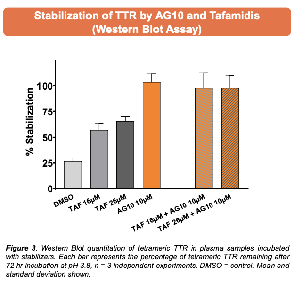 CMichaelGibson's tweet photo. Dr. Uma Sinha Presents: Differential Transthyretin Binding, Kinetic Stability and Additive Ex Vivo Stabilization by AG10 Compared to Tafamidis 

View the full poster here: https://t.co/rV1vEqOYUI 

Sponsored by an unrestricted educational grant from Eidos Therapeutics https://t.co/NuUu1EFfhy