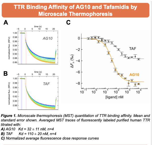 CMichaelGibson's tweet photo. Dr. Uma Sinha Presents: Differential Transthyretin Binding, Kinetic Stability and Additive Ex Vivo Stabilization by AG10 Compared to Tafamidis 

View the full poster here: https://t.co/rV1vEqOYUI 

Sponsored by an unrestricted educational grant from Eidos Therapeutics https://t.co/NuUu1EFfhy