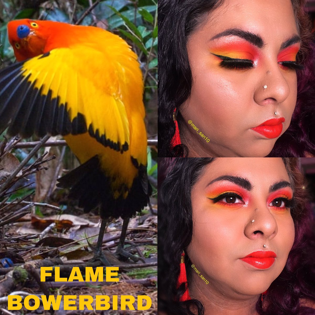 san10mari's tweet photo. my individual bird look for @collabsAD #beautifulbirds
my inspiration comes from the Flame bowerbird 

#makeupobsession #birdinspiredmakeup
#collabsafterdark #makeupjunkies
#makeupjunkiesfeaturing #makeupaddicts #undiscoveredmuas #makeupoftheday #makeupforever #beautifulmakeup https://t.co/kKSqBGdBmb