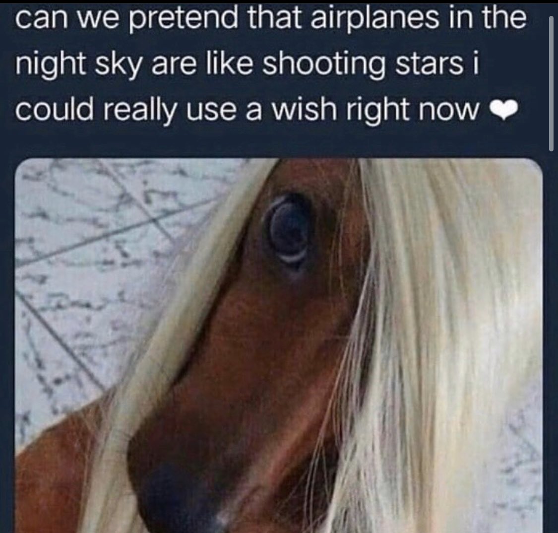 Filmandmemes's tweet image. 