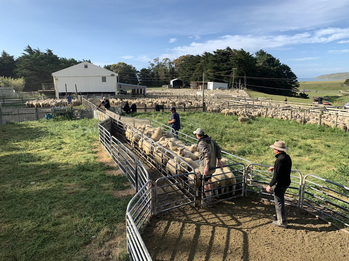 Anders Crofoot tweet media