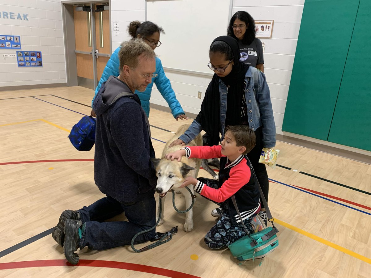 WhiteOaksES's tweet photo. Our Librarian, Mrs. Darling, invited author, Denise Lawson, to come speak with our school today.  Accompanying her was the  retired sled dog who is the star of her book Black Bear Goes to Washington.  Everyone really enjoyed the assembly! https://t.co/WkZnoCREbM