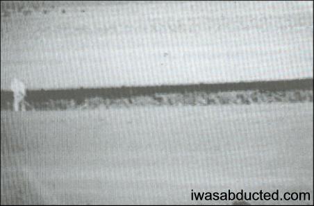 TheySawWhat's tweet photo. "This silvery human-like figure was videotaped on Rhyl Beach, Wales in 1991. It is reported that the cameraman did not notice anybody on the beach at the time he began filming. Critics suggest that a glaring phenomenon in the videotape may be a natural..." https://t.co/bTw0tYsjF9 https://t.co/ILedebCaWU
