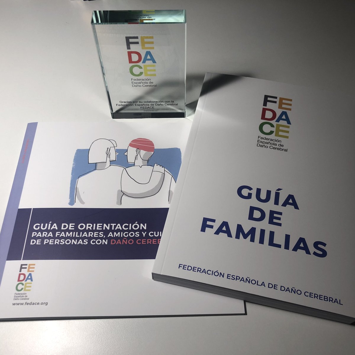 mrioslago's tweet photo. Guía de familias y Guía de Orientación para familiares, amigos y cuidadores de #DCA de @fedaceorg https://t.co/iZknw3c92B