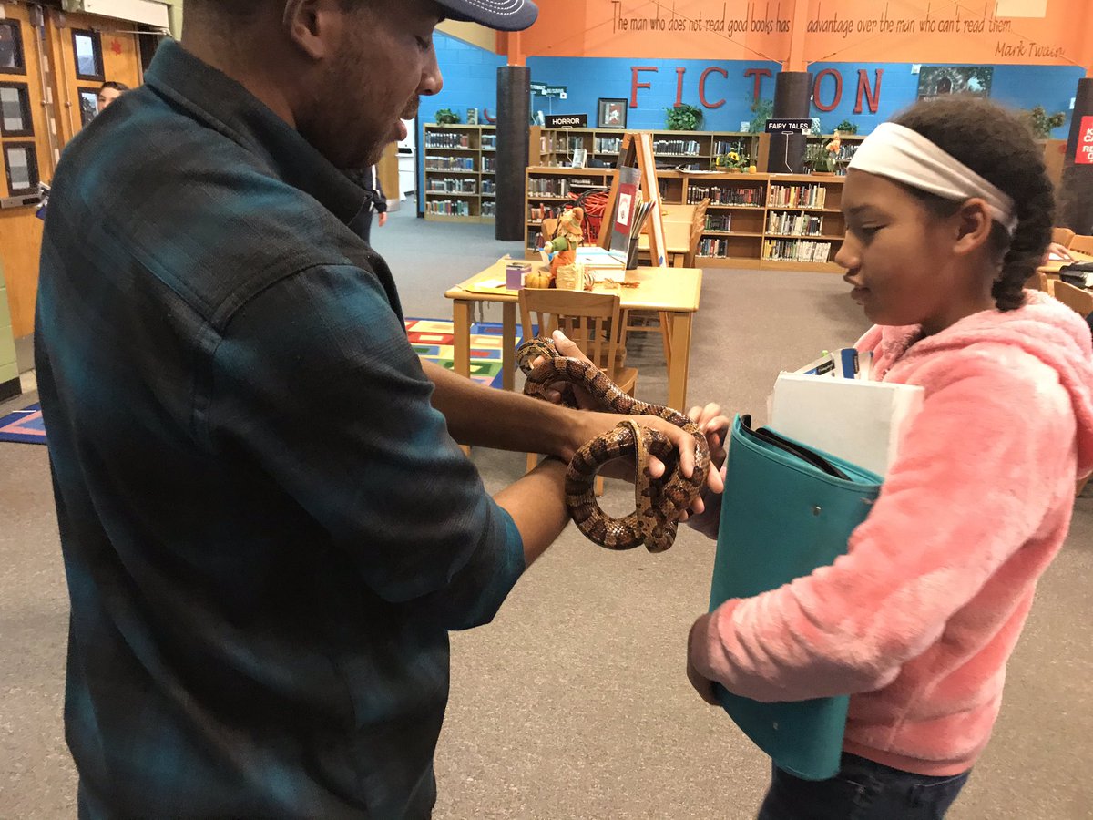 LMMSlearningcom's tweet photo. Students learned about environmental watershed and how reptiles are affected today in 6th grade . #cobbSTEM https://t.co/LW6GDSmhwk