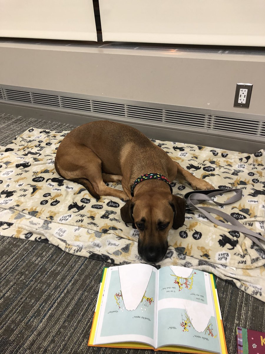 DawnLutz's tweet photo. Fox Valley Reading Council loves sponsoring IL Reads at the Santori Aurora Public Library! Kids got super hero masks & capes and read to Fox Valley Therapy Dogs! We loved Granger & Hamilton with Laura & Bridget! Thanks to all! #FVRC #AuroraPL #FoxValleyTherapyDogs https://t.co/8WUZ6ZVkA3