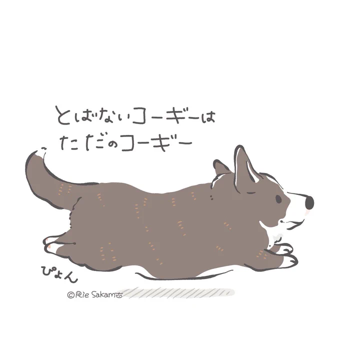 コーギーのマジック空中浮遊するコーギー#corgi #コーギー #イラスト #コギまるけ 