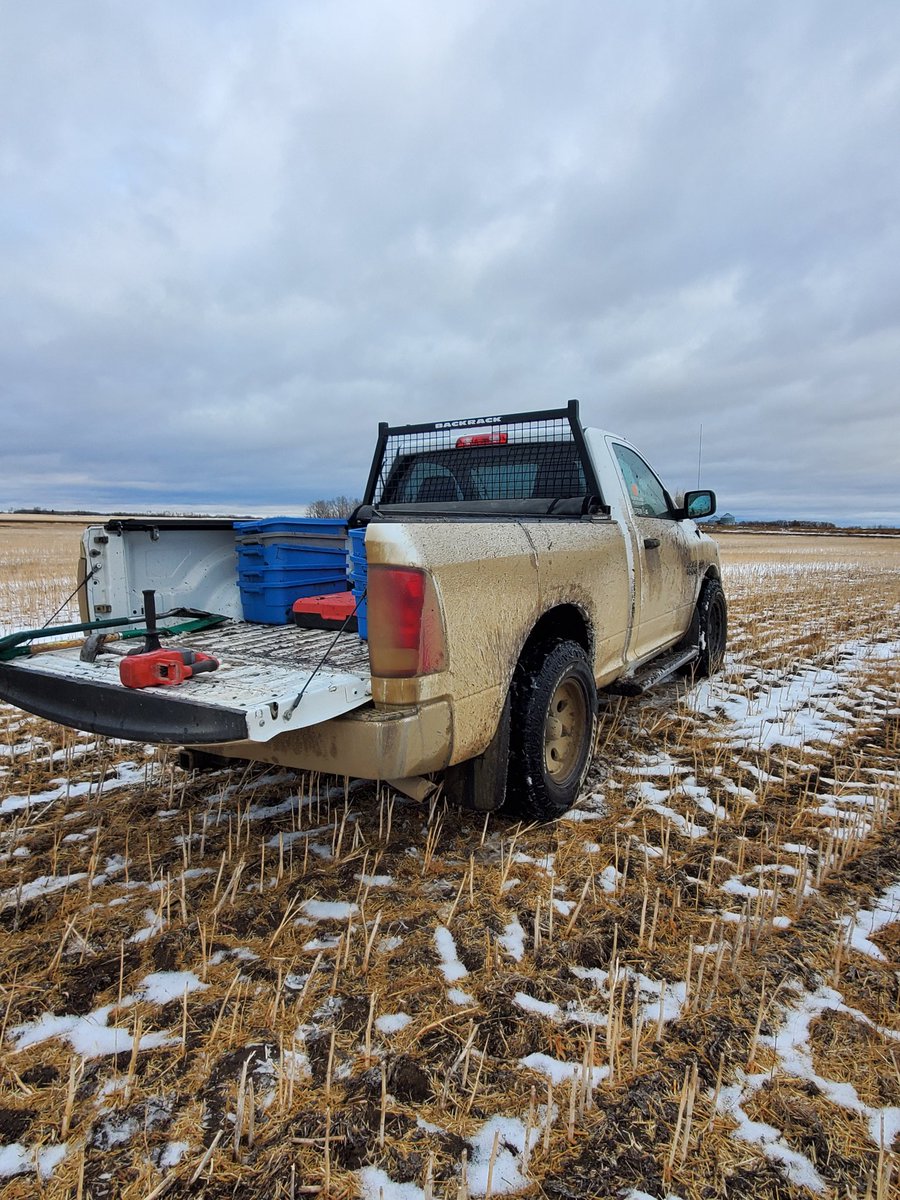 hubez00's tweet photo. Top inch is mud and the rest is frost, makes for a nice muddy truck. 13 tubs filled of hammer-drilled Frozen soil-samples being sent down to HQ in stoon for thawing by #twitterlessDani
#PRStechnology #makeyoursoilgreatagain @westernagNWSask https://t.co/s9Qma7Rdpy