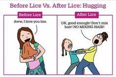 JodiAlberigo's tweet photo. Data show that head lice can survive under water for several hours but are unlikely to be spread by the water in a swimming pool. Head lice have been seen to hold tightly to human hair and not let go when submerged under water. Chlorine levels found in pool water do not kill lice https://t.co/XxIMEvIH2B