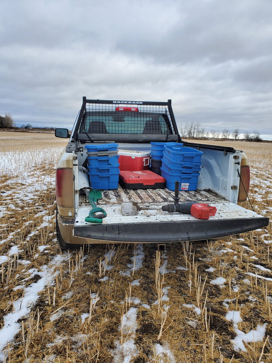 hubez00's tweet photo. Top inch is mud and the rest is frost, makes for a nice muddy truck. 13 tubs filled of hammer-drilled Frozen soil-samples being sent down to HQ in stoon for thawing by #twitterlessDani
#PRStechnology #makeyoursoilgreatagain @westernagNWSask https://t.co/s9Qma7Rdpy