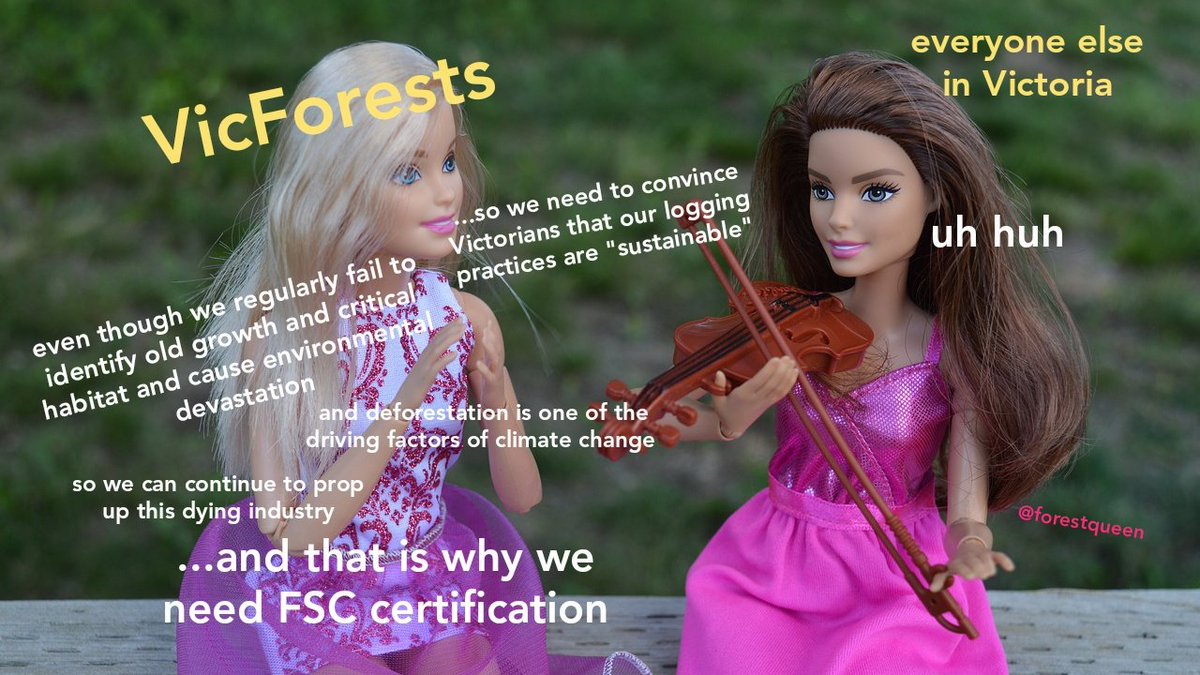 forestqueen11's tweet photo. oUR LoGGinG pRacTicEs aRe SuSTaiNaBLe 

- every VicForests spokesperson ever https://t.co/qE6psQFliy