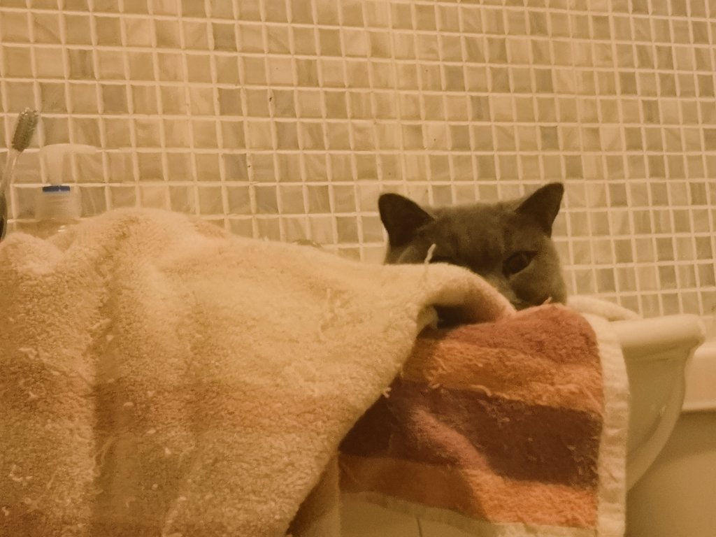 I have a bathroom lifeguard.. In case I need help