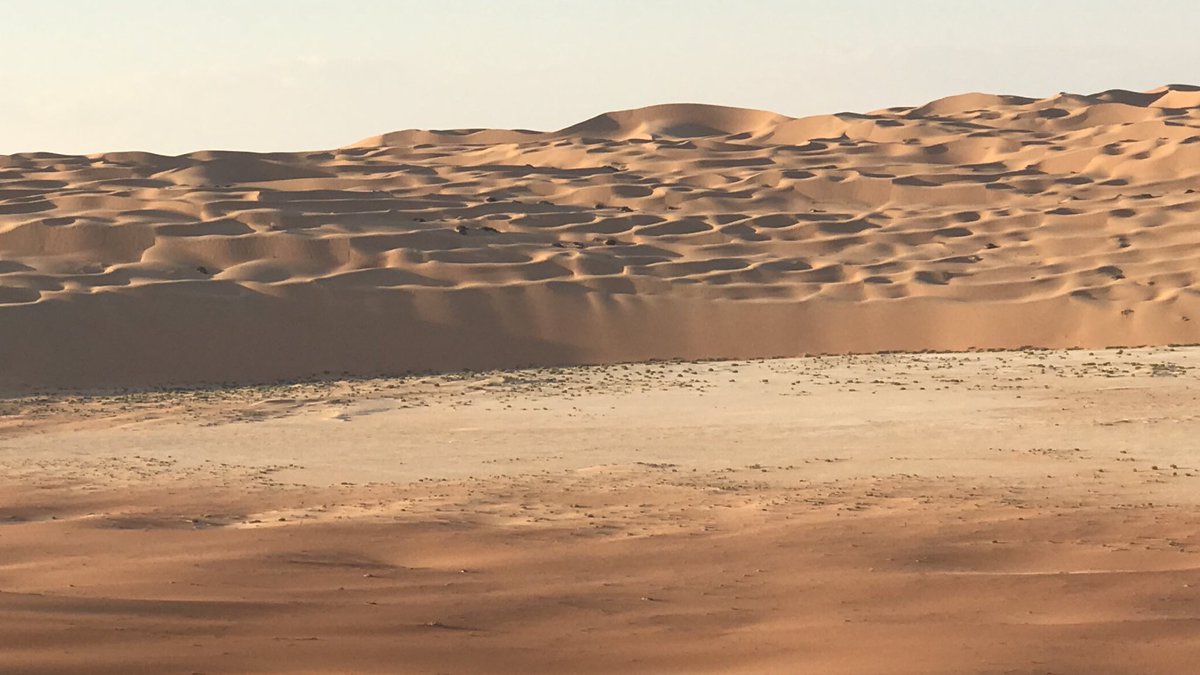 M. Alk |محمد الخميس tweet media