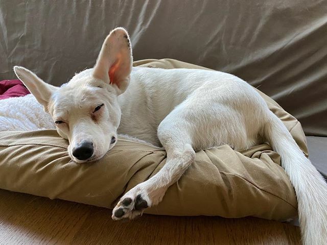 IndieOnTheGo's tweet photo. Mondays 😑 https://t.co/mxdYsl9rCg https://t.co/9cGOIxLOg2