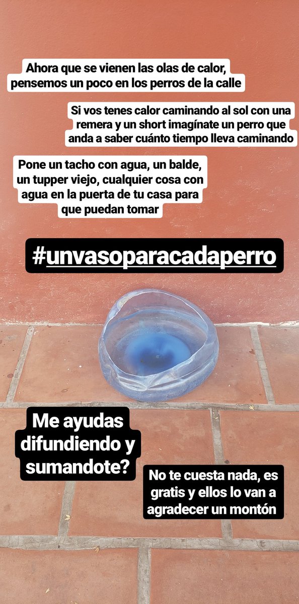 RodriiBiJey's tweet photo. Te sumas? Sino ayúdame difundiendo https://t.co/Dpa5nGC992