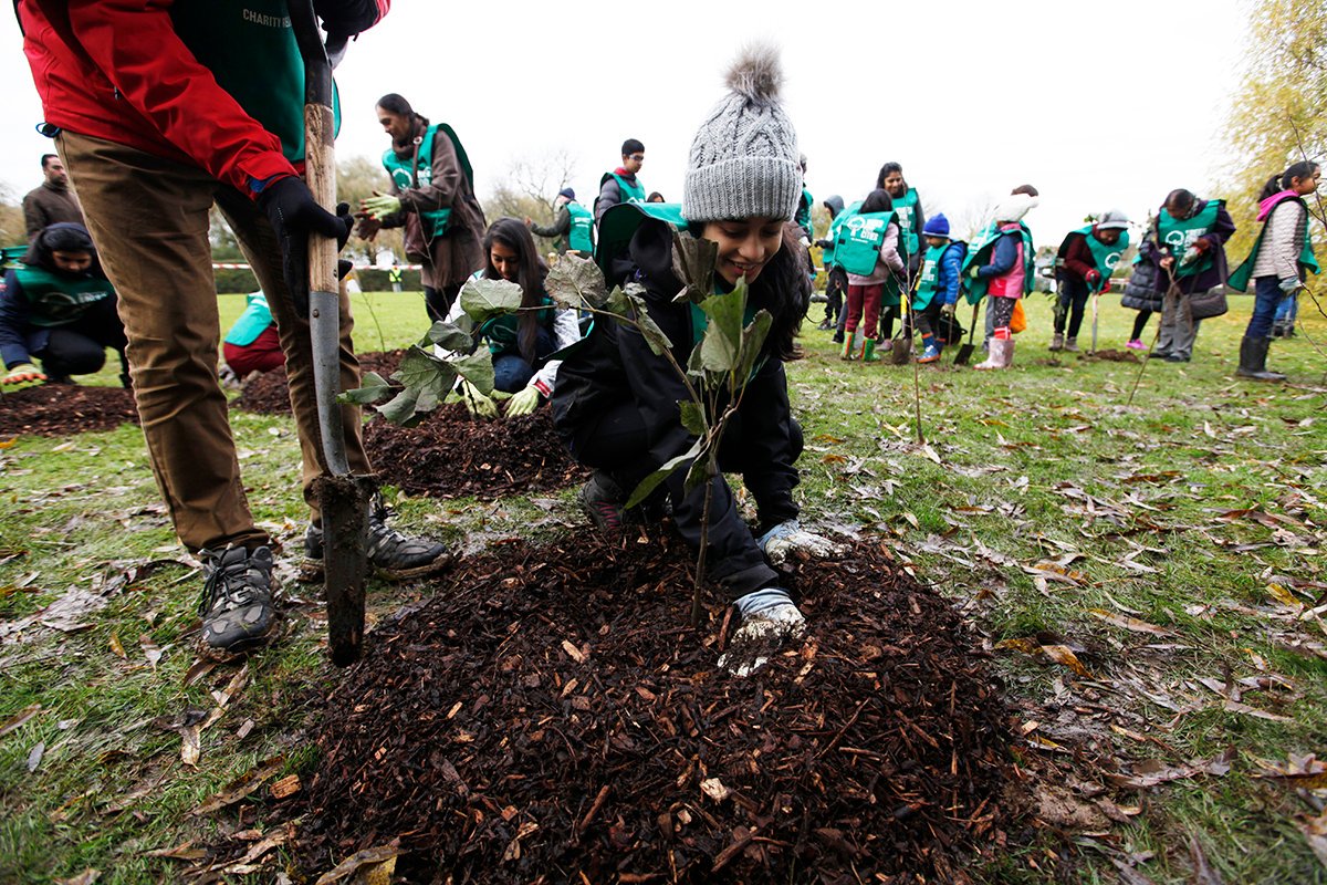 TreesforCities's tweet photo. We had a great day planting 1000 trees with 354 volunteers at Kenton Recreation Ground on Saturday. It was part of a ‘peace forest’, fundraised for by the #OneJAIN community, to celebrate the 150th birth anniversary of Mahatma Gandhi. @hinterfaith @harrow_council @kentonrec https://t.co/5Pnx7Ll4Cl