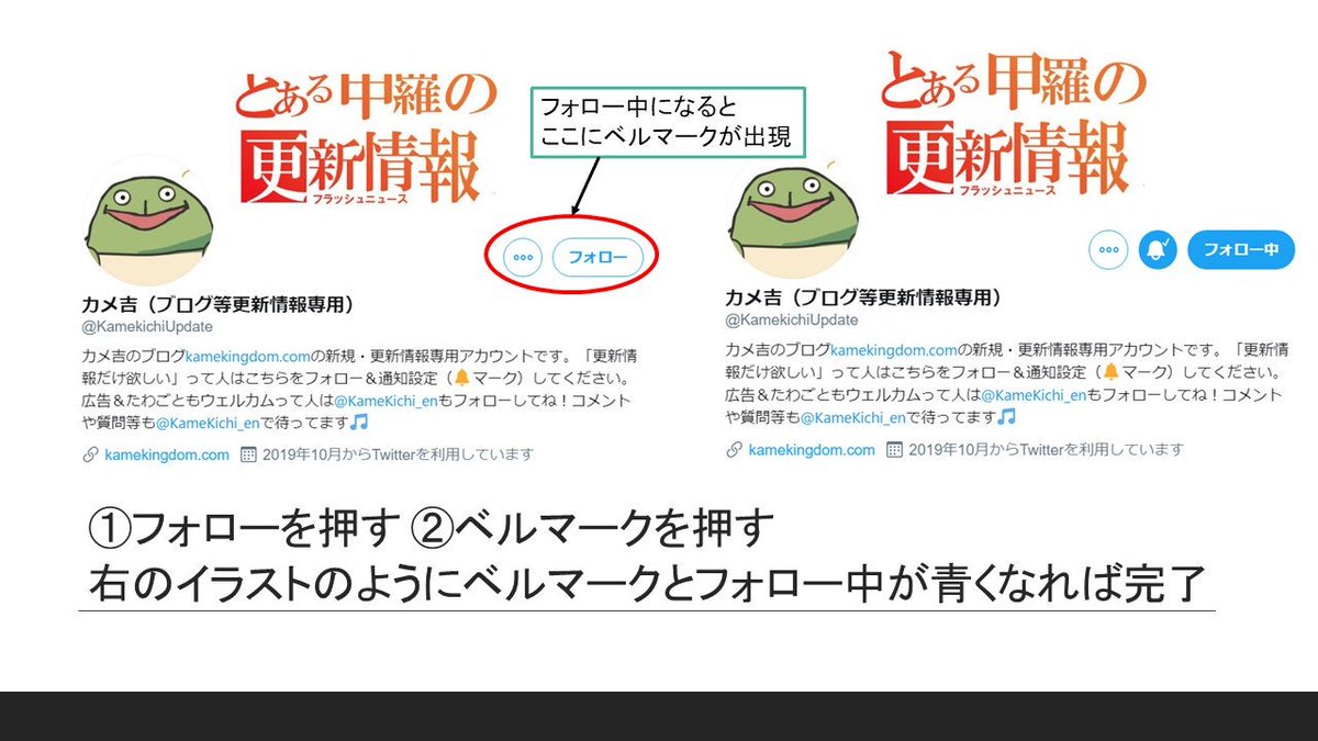 カメ吉 ブログ等更新情報専用 Kamekichiupdate Twitter カメ吉 ブログ等更新情報専用 Kamekichiupdate Twitter