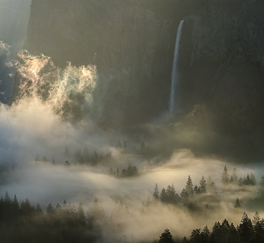 TheAnselAdams's tweet photo. Now on display at The Ansel Adams Gallery: Light on the Landscape – Photographs by William Neill (@wgneill )

Rising Mist, Yosemite Valley, Sunrise, original photograph signed and numbered by William Neill
Link: https://t.co/fO2V3HPjyE

#Yosemite #WilliamNeill #AnselAdamsGallery https://t.co/wVcYtTP1Le