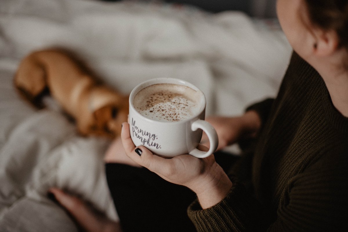 ProNaturaBV's tweet photo. Use collagen to add vital nutrients to your diet. You can easily add 1 scoop of our COLLAGEEN to your coffee during your morning routine to jumpstart your metabolism!
If possible, use another scoop in one of your meals during the day.
#collagenpowder #morningroutine #metabolism https://t.co/PvlhMmAK1n
