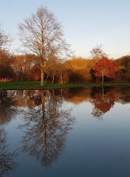 yarlingtonbarn's tweet photo. Wonderful #Autumn colours reflecting in the lake this afternoon! @yarlingtonbarn https://t.co/DvY1G4HRjr