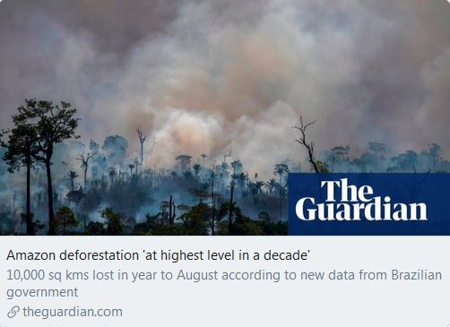 This is what the  #EcologicalCrisis looks like in  #SouthAmerica right now."Deforestation of the Brazilian Amazon has hit the highest annual level in a decade" https://www.theguardian.com/environment/2019/nov/18/amazon-deforestation-at-highest-level-in-a-decade