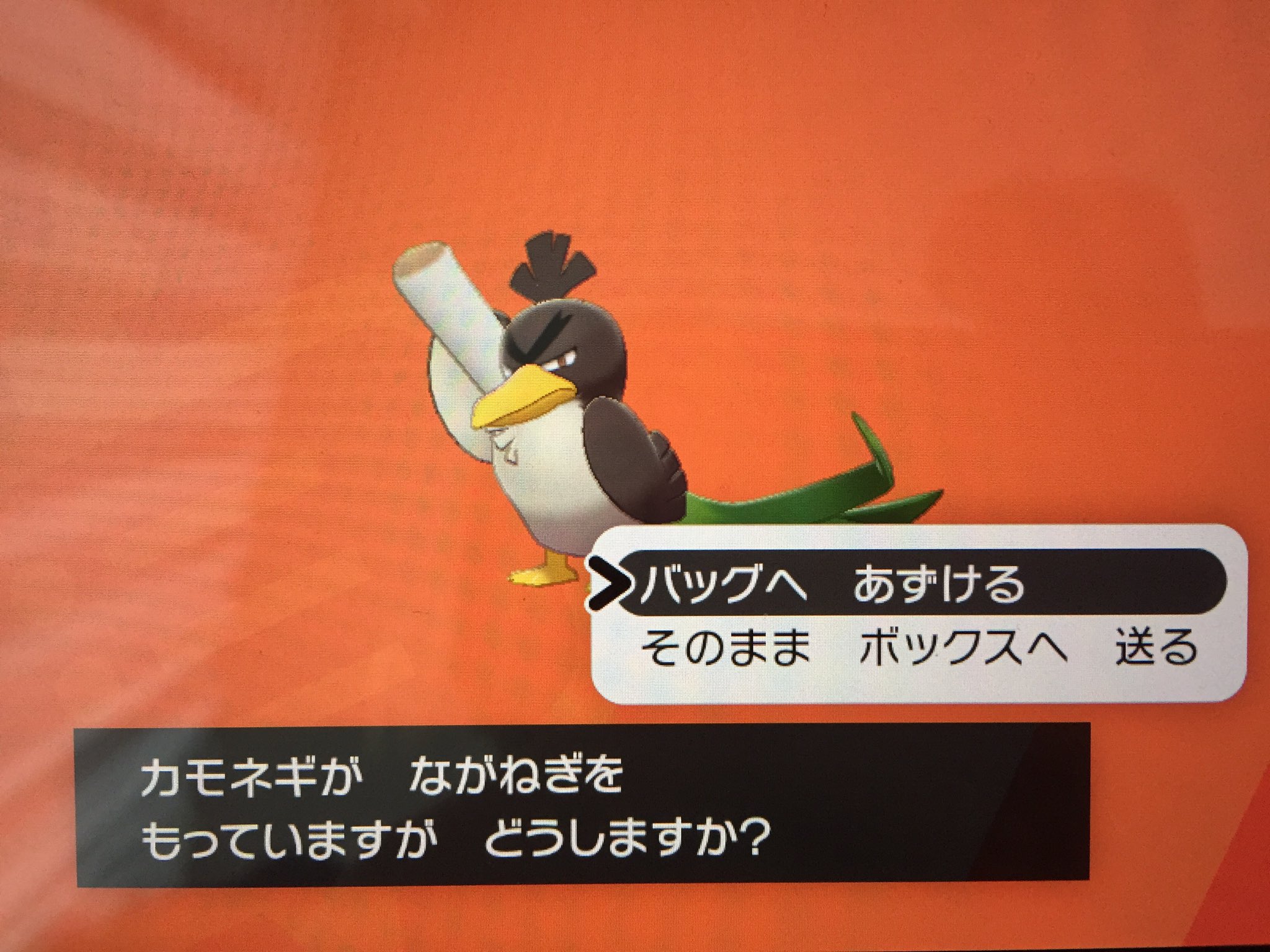 げっぺい Twitterren 欲しかった ながねぎ 手に入れた でもきあいだめ覚えるの忘れてたよ カモネギとネギガナイトのハーレム 作ってキャンプでポケじゃらし振って 戯れたいw ポケモン盾剣 カモネギ ポケモンソード ネギガナイト T Co Wkcz0ij7x3 Twitter