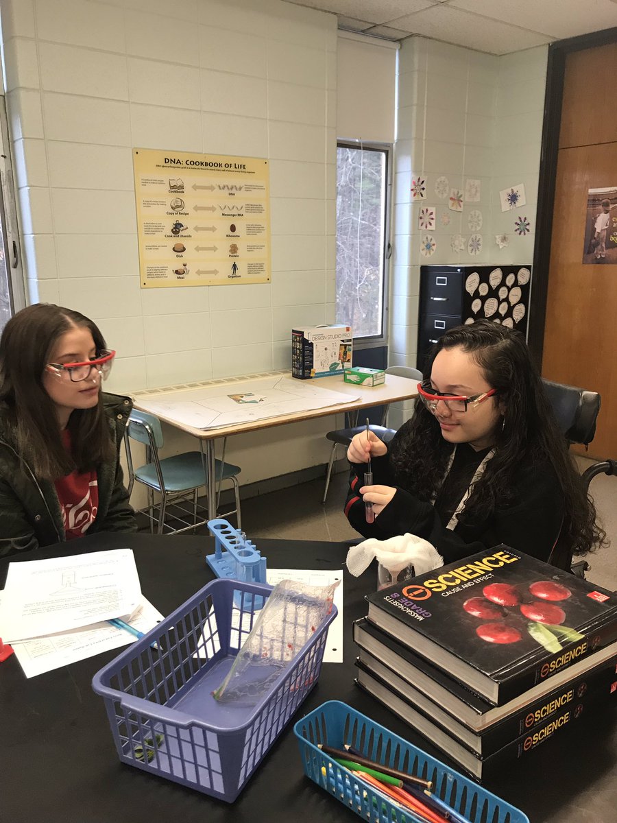 Extracting DNA from strawberries. <a href="/TyngsMiddle/">Tyngsborough Middle</a> #tpsprepares