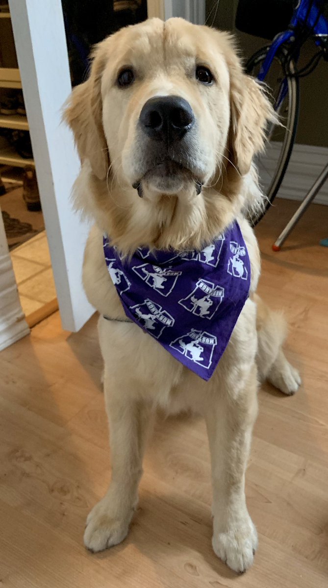 krisreilly_'s tweet photo. @westernuAlumni @WesternU https://t.co/aBLLMqmKCQ