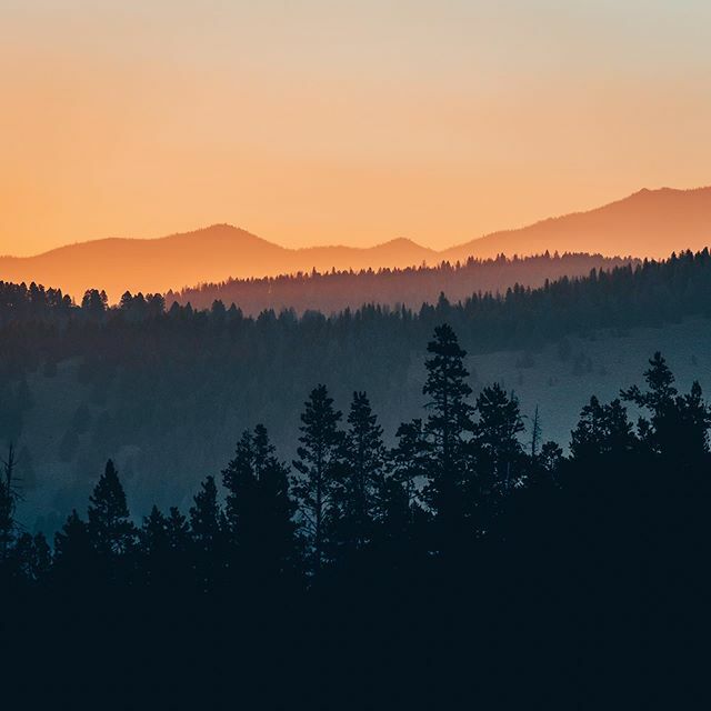 oliverguyphoto's tweet photo. Smoky Sunrise
.
.
.
.
.
#sunvalley #seeksunvalley #idahodaily #idahomeshop #weknowidaho #nature_brilliance #EarthVisuals #artofvisuals #welivetoexplore #natureaddict #naturediversity #ourplanetdaily #earth_deluxe #instanaturelover #nature_prefection #nat… https://t.co/czuz4AmZcB https://t.co/wmsvA5CFKl