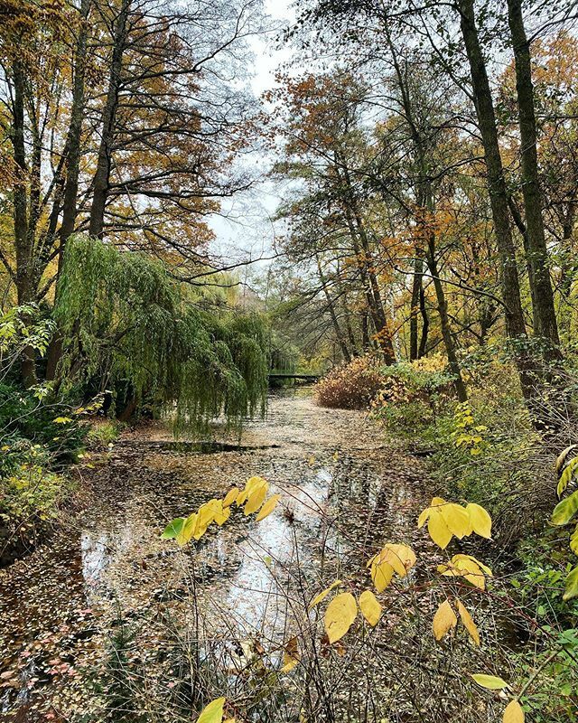 em___vee's tweet photo. “We met one day in wet cement / where we glued our eyes shut / and pressed with our fists / and while the trees are shrinking now / they forgot their roots / and slopes in the ground” #bigecho .
.
4/365 #365photochallenge .
.
#fromwhereistand #mytinyatla… https://t.co/yTsHqQudFP https://t.co/bh9WPXsz3o