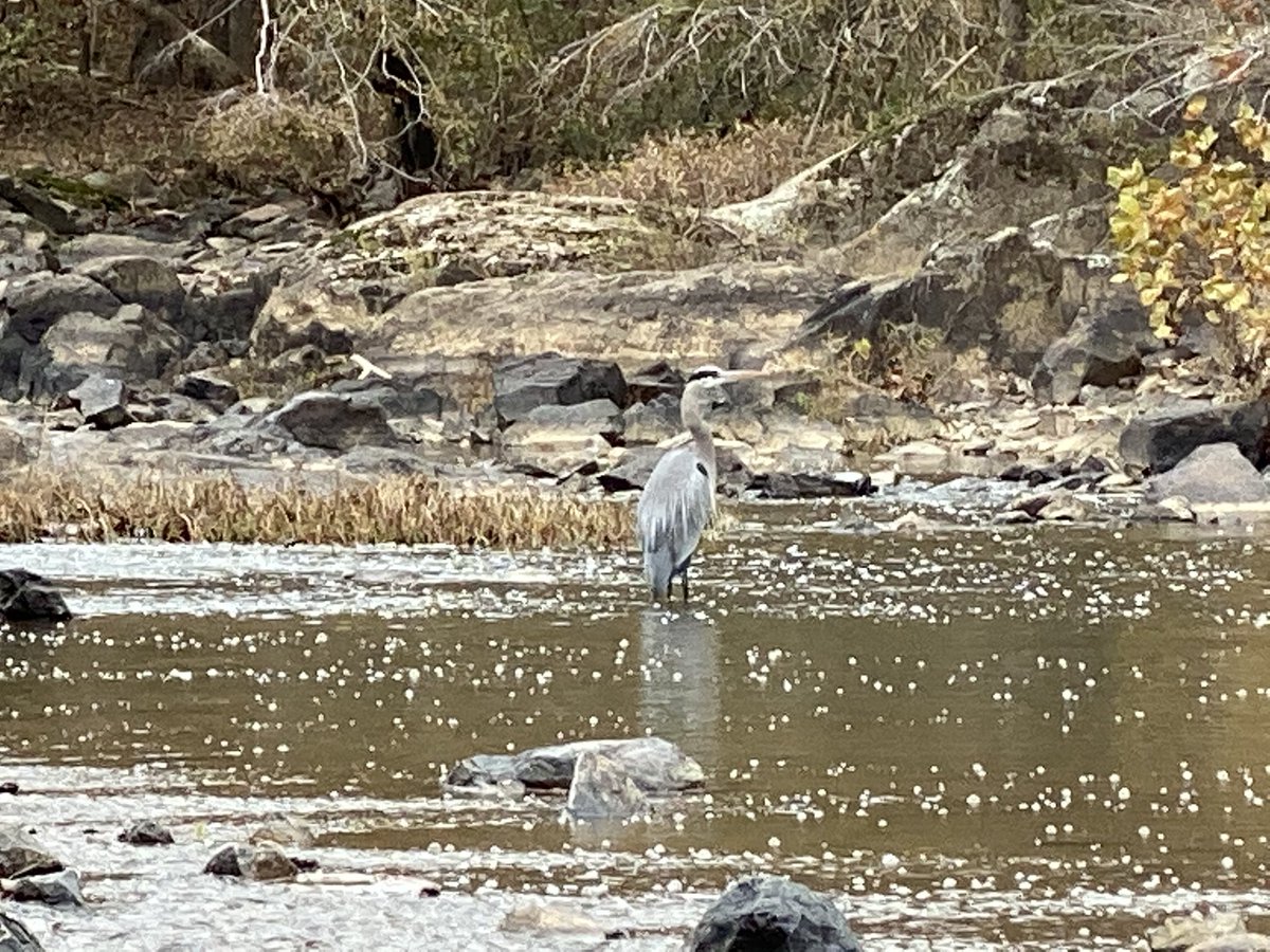 Northside2ndGrade tweet media