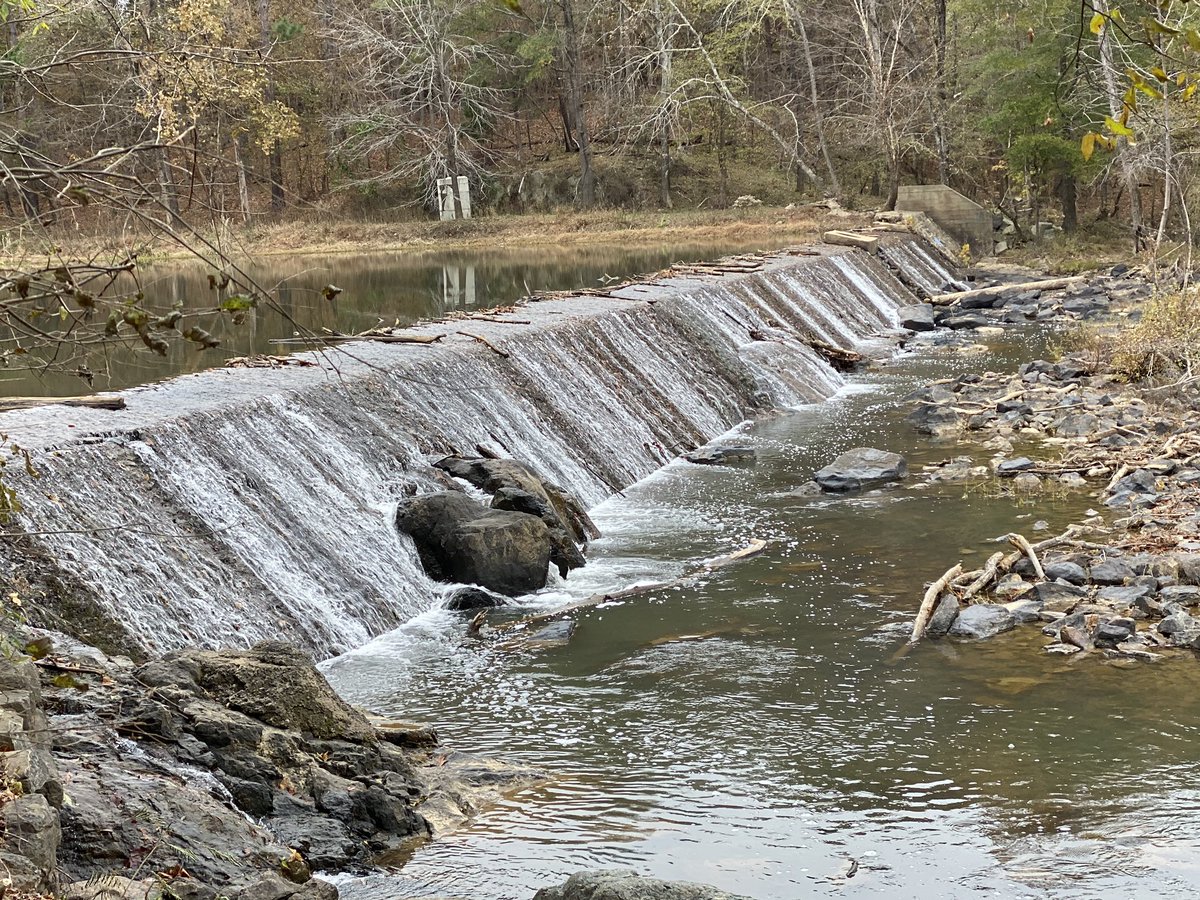 Northside2ndGrade tweet media