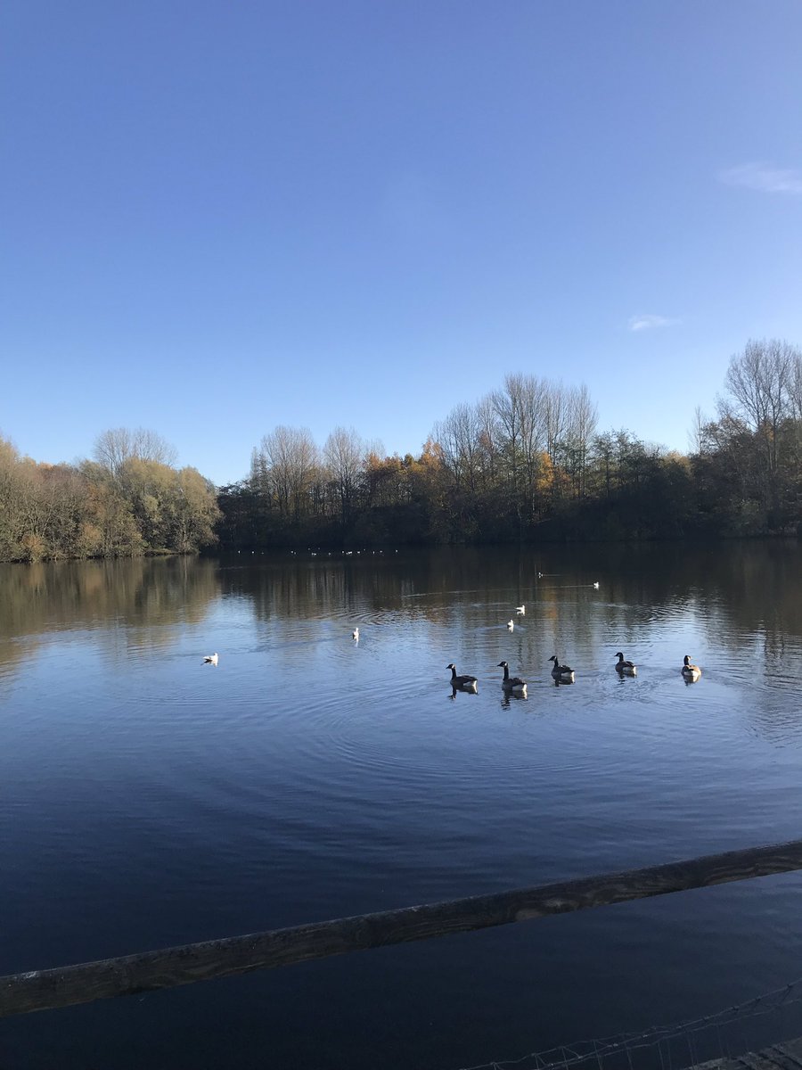 coleary39's tweet photo. Lovely walk at Ryton pools today @moleary3 please add 5.5miled walking to our pledge @clarlodge #clmpfc #pledge10000 #newhip #nearly5weekspostop https://t.co/IBY7CmFLmT