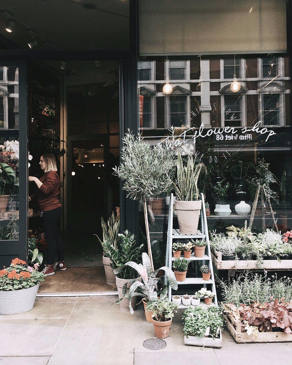 GrowScripts's tweet photo. Tag someone who is obsessed with plants!

#GrowScripts #PlantLover #GreenThumb https://t.co/mG40droc2m