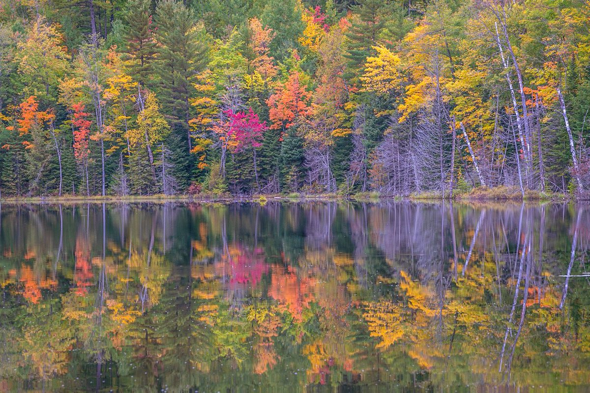 PunzPics's tweet photo. Missing Fall #punzpicoftheday #michiganup #fallcolors #fall #UP https://t.co/FdohO2Nchu