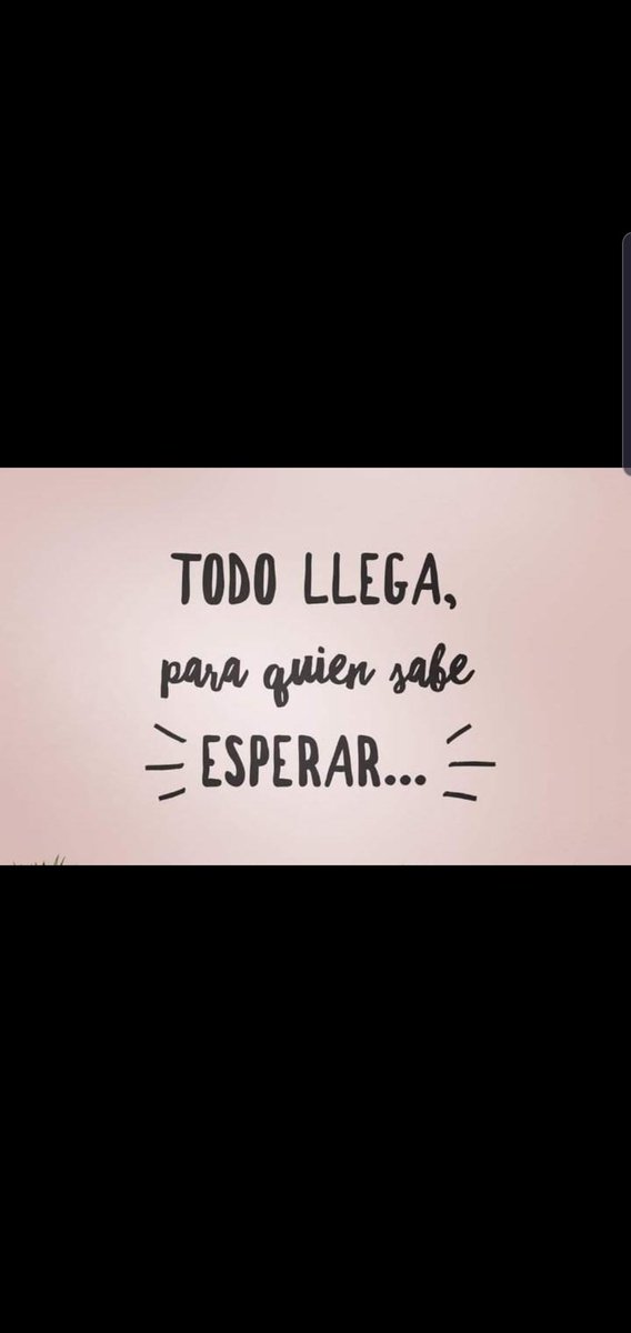 Magabro (@magabro5) on Twitter photo 