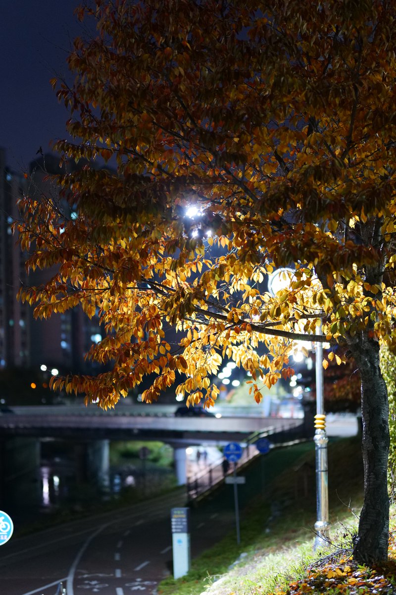 ascoeur9's tweet image. Panasonic S1 + MC-21 + Sigma 85.4 Art No Adjust
#digitalgarbage

마포 + 줌렌즈 쓰던놈이 풀프 + 단렌즈 쓰려니 다 날아가서 죽을맛...