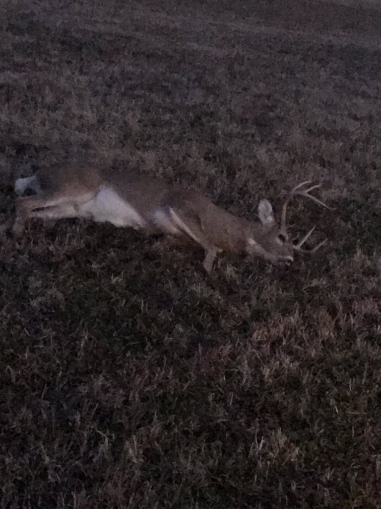Dawn3K's tweet photo. Not a monster but super proud. My first “real” buck. Not sure who was more excited me or my kids. 😁🦌 https://t.co/JnEwicRtVm