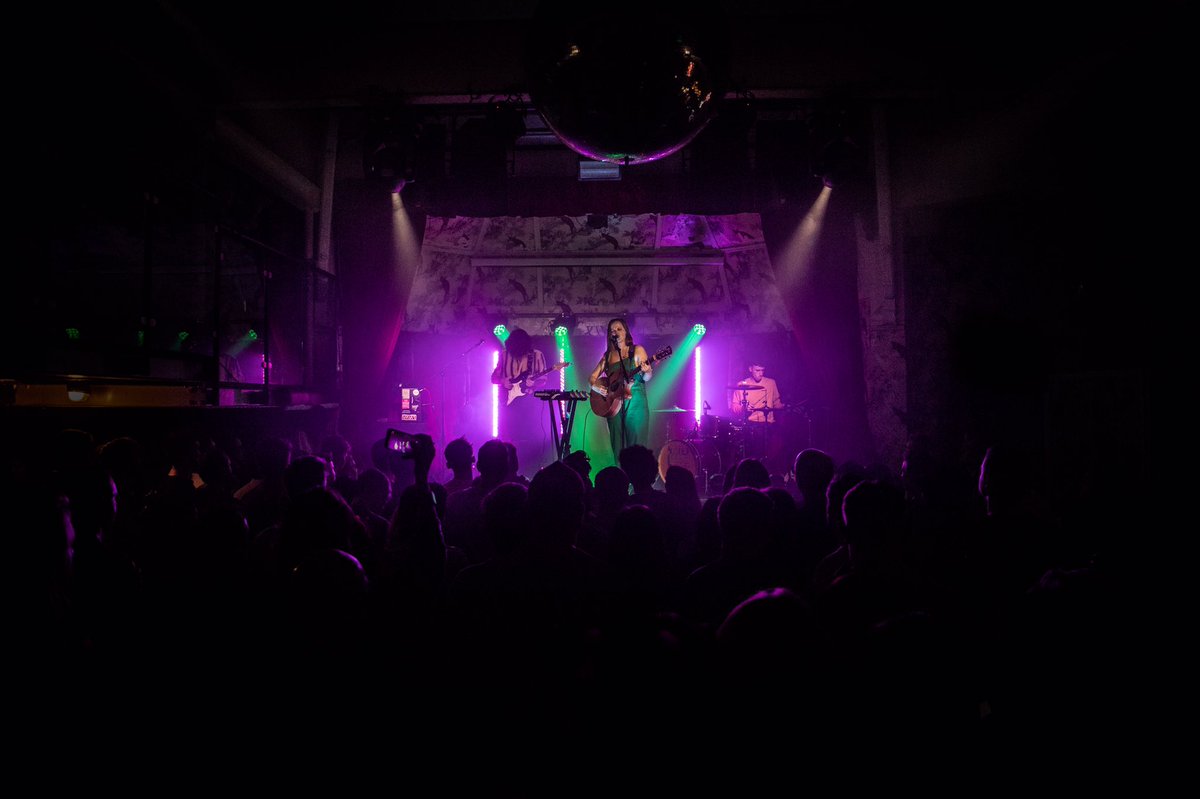 🐘The Elephant Trees🌳 tweet media