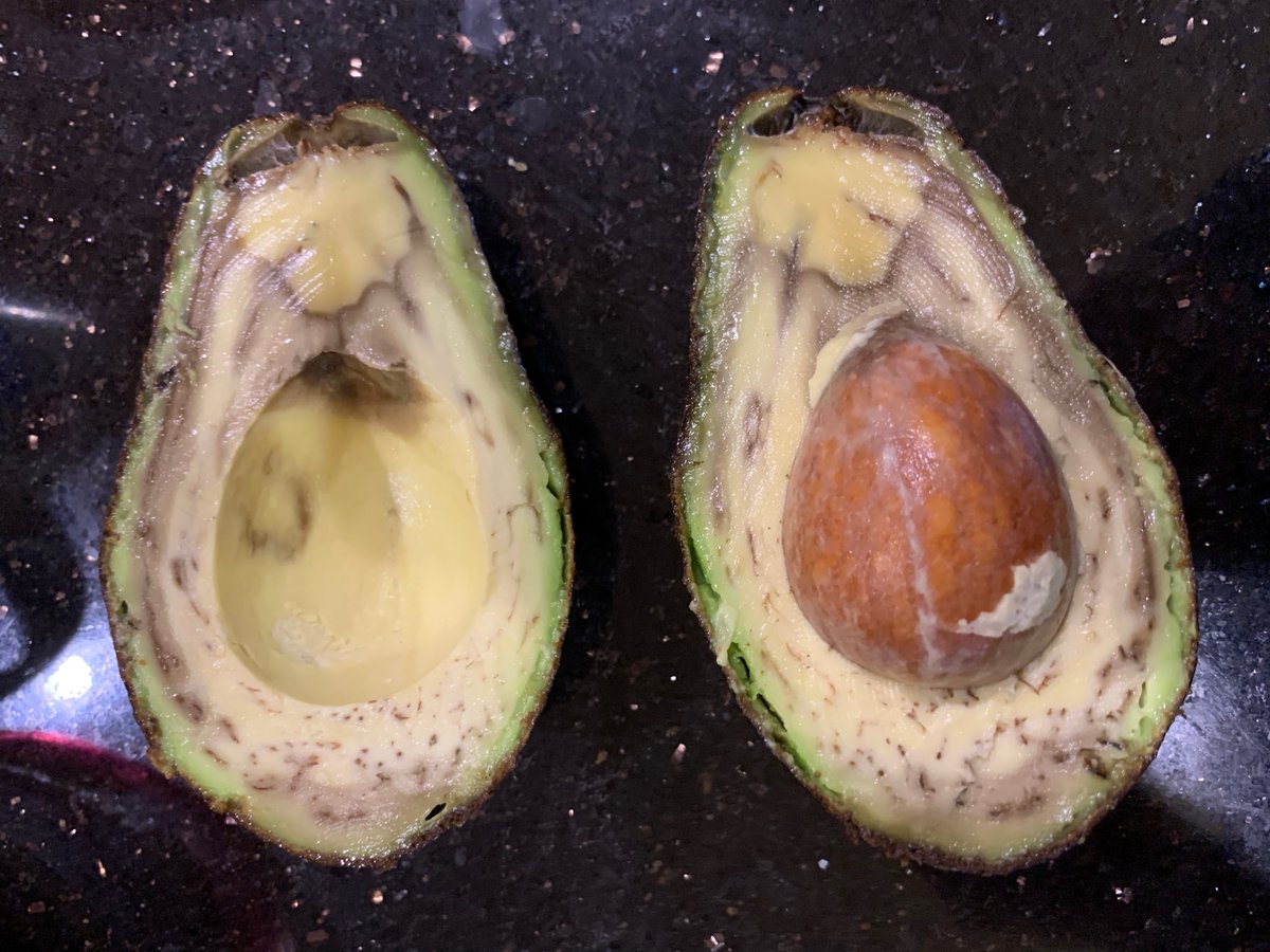 Paul Knoepfler tweet media