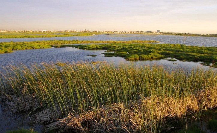ECOPLAN9's tweet photo. As the world’s freshwater supplies are becoming increasingly at risk, so is the value of multi-billion dollar global water purification bussinesses. But Wetlands do this job of expensive technology free of charge. https://t.co/MxXeRNK6a1 https://t.co/ZLLwjh5a7l
