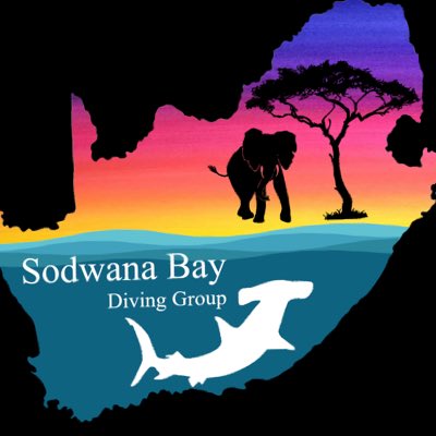 bay_diving's tweet photo. #NewProfilePic https://t.co/nCXnpdcJWL