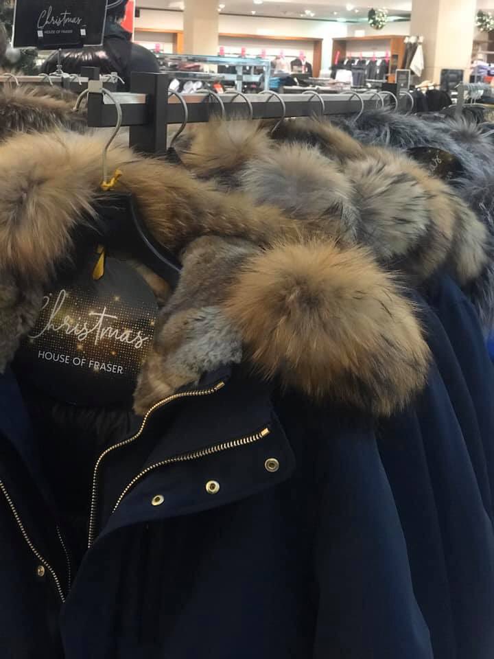 domdyer70's tweet photo. House of Fraser selling rabbit fur trimmed coats for Christmas. Tell them what you think about this exploitation &amp; cruelty for profit  @houseoffraser @Animal_Watch @peta @PeterEgan6 @emeliobedelio https://t.co/U8Fy4CbWzL