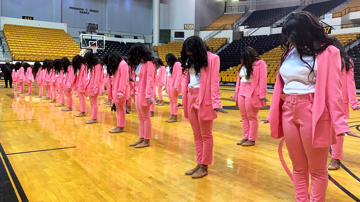 AlphaThetaAKA's tweet image. We are proud to introduce to you the newest members of Alpha Kappa Alpha Sorority, Inc. Welkome to the Audacious Alpha Theta Chapter, Phine C.H.I.N.A 💕💚 #Fall19 #AKA #AKA1908 #KeepingUpWithAlphaTheta #Gramfam