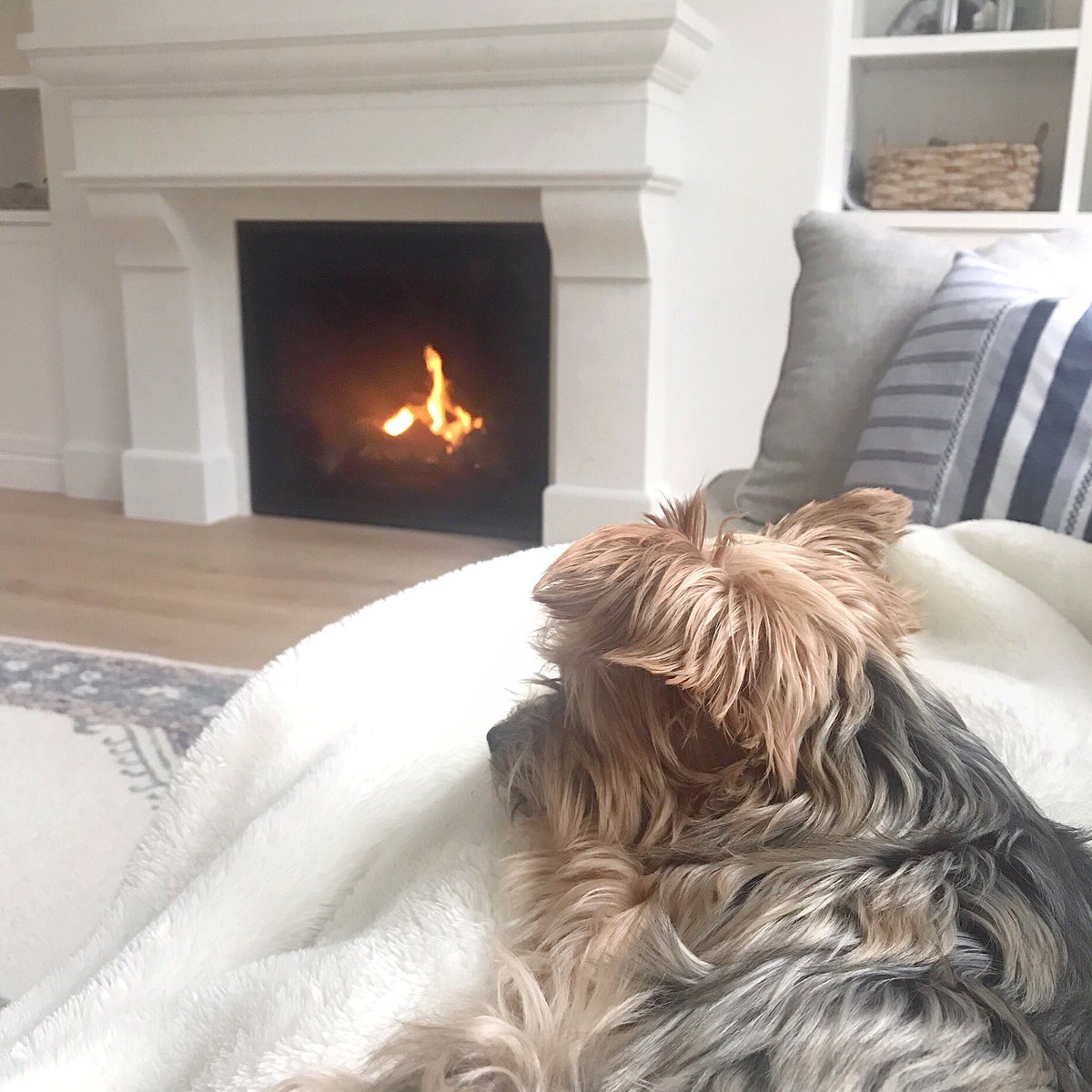 kvbijou's tweet photo. • We put away the to-do list &amp; enjoyed a slow weekend together. Doing nothing much at all. It was exactly what we all needed over here. ✌🏻⁣⁣
⁣⁣
Mantel @dreamcastdesign | insert @urban_fireplaces | #kvlakehouse https://t.co/s0dpZfVKtB
