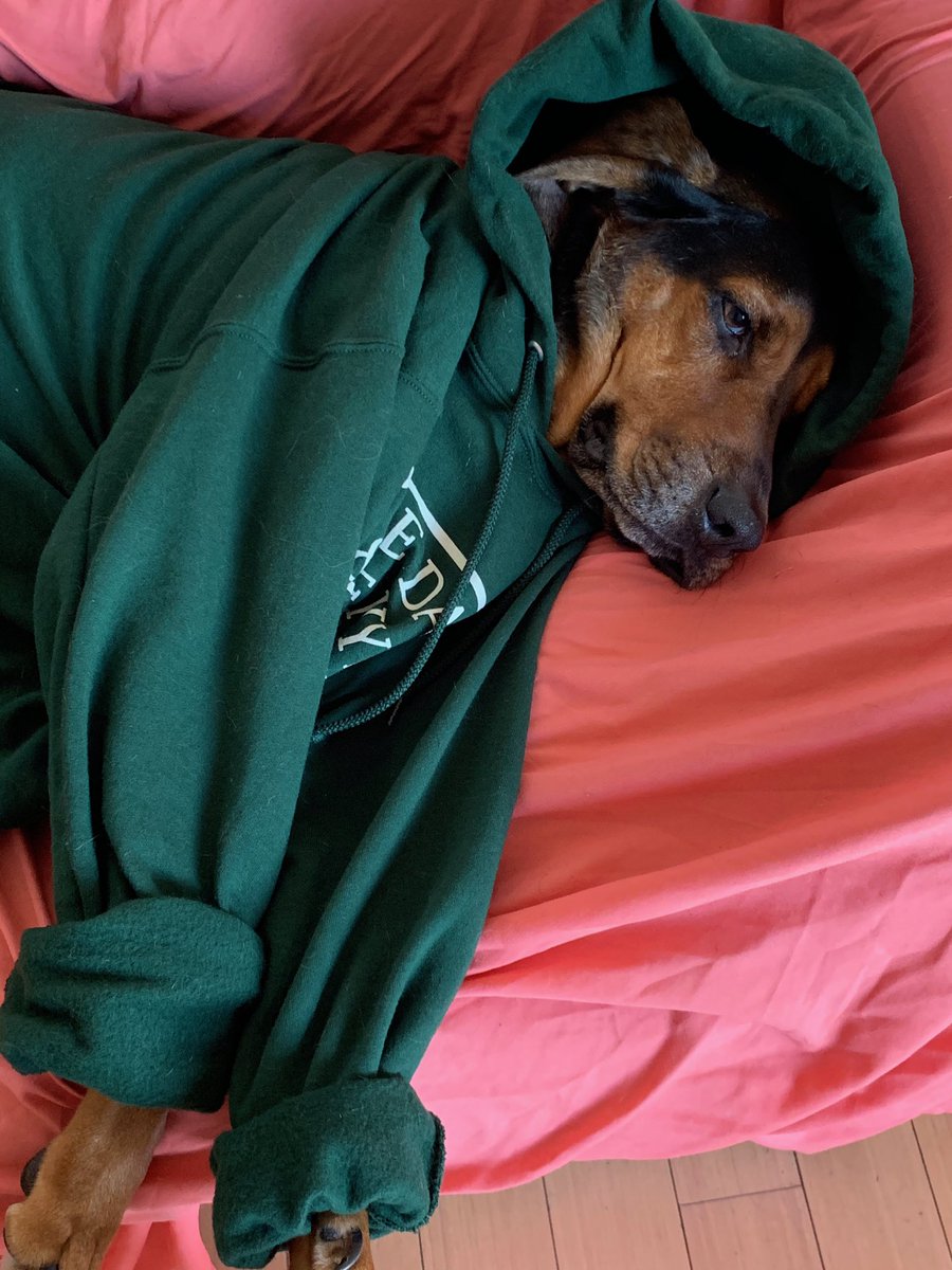 boone thinks we should make more <a href="/Pdaddynthehyena/">prince daddy</a> hoodies. what do you think?
📸: <a href="/hemingwaypdx/">hemingway</a>