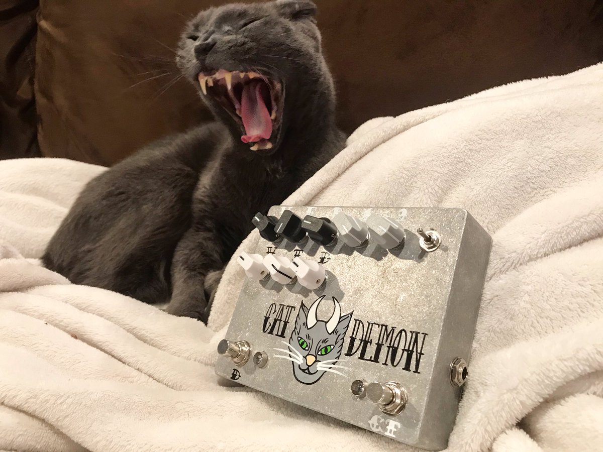 fuzzrocious's tweet photo. Custom Cat Tail &amp; Demon w/ side jacks...and the perfect shot of Buttercup #fuzzrocious #fuzzrociouspedals #cats #catsandpedals #yawningcat #catdemon #cattail #fuzzrociousdemon #effectspedals #pedals #fuzzpedals #handpainted #handmade https://t.co/MUzAUDJgNa