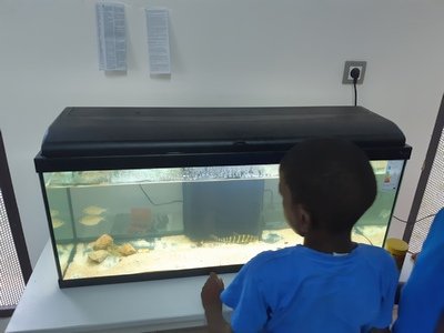 et_cm1's tweet photo. On se présente, suite et fin pour ce jour:
Nous faisons bcp d'activités en plus des cours: aquatiophilie, système d asuaponie, chorale, théâtre, on débute dans les tablettes et le jeu d'échecs...même qu'on peut encore mettre un échiquier à l'envers 😊
#CoinEchecs https://t.co/NUKNz0l8ki
