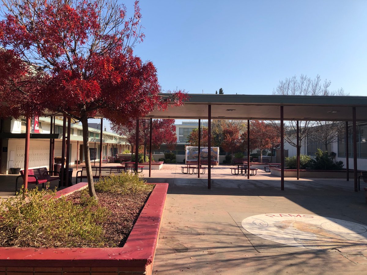 Terry McCormick tweet media